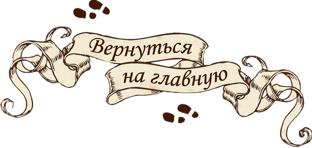Вернуться на главную